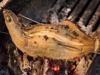 旬の鮮魚を炭火焼で提供。岩手県産の炭で、こんがりと香ばしく仕上がっています。