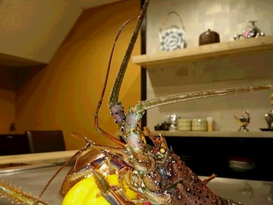 成増のランチおすすめランキング トップ3 ヒトサラ