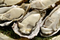 宮城県産牡蠣をガンガンで蒸し焼きにします。
産卵直前の夏牡蠣は栄養を蓄えるため身がパンパンになり冬牡蠣に比べて濃厚でクリーミーな味わい。
数量限定です！

4個1540円　6個1925円　10個3080円
※4つ～注文可能