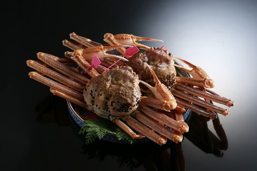 山陰城崎から直送された新鮮な「松葉がに」