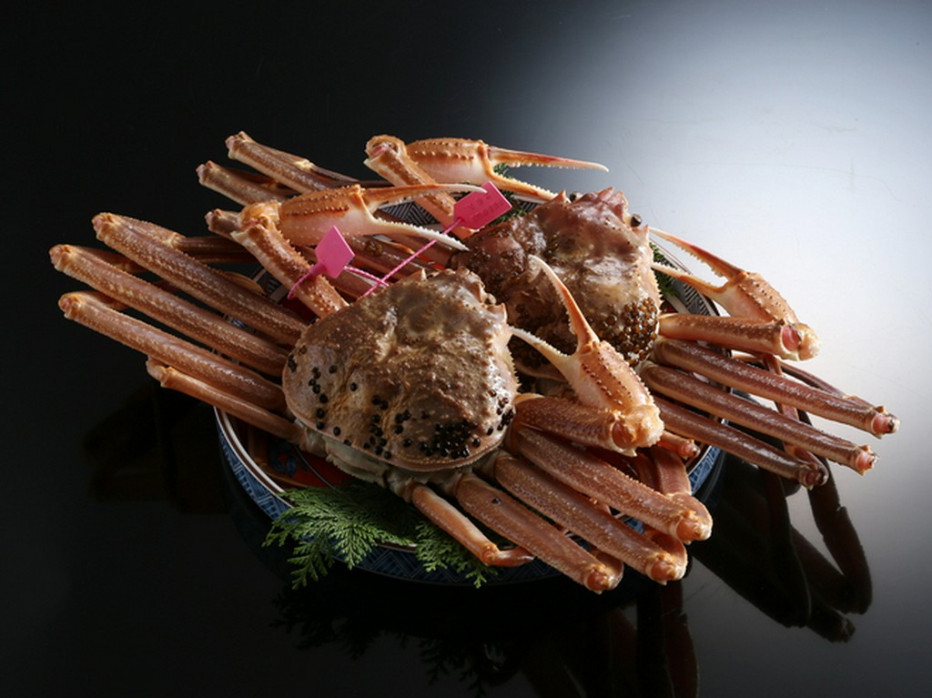 山陰城崎から直送された新鮮な「松葉がに」