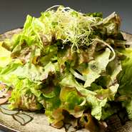 地元の新鮮野菜を提供