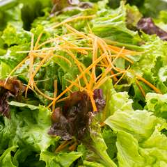 瑞々しく新鮮。自家製ドレッシングをかけていただく『サラダ』