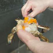 美味しい焼肉や韓国料理を食べて頂きたいと、“オモニ”と2人、夫婦そろって精一杯おもてなしさせて頂いております。料理に対する真摯な姿勢を崩さずに、丁寧につくったひと皿お届けできればと考えています。