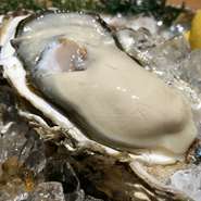 一年を通じて、信頼できる業者様より全国各地から
安心、安全な生牡蠣を提供しております
真牡蠣、岩牡蠣、牡蠣好き必見です。