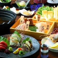 幻の高級魚クエも水産会社直営のしろや新宿ではヒレ酒から刺し身、唐揚、クエ鍋と高品質で提供致します！