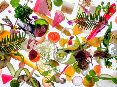 「とちぎ高原和牛」や「野菜」など栃木県産の食材を堪能できる