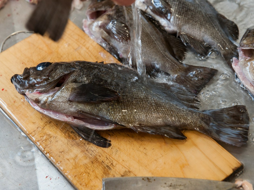 「その季節で一番美味しいものを」敦賀漁港直送の鮮魚がずらり