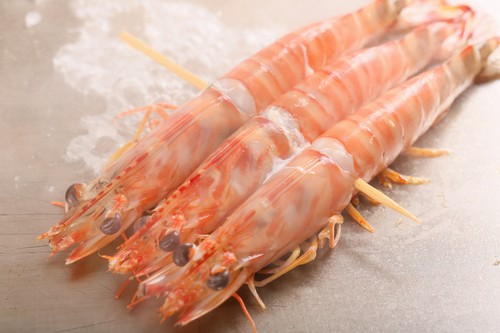 新鮮な活車海老のプリッとした食感と香ばしさを