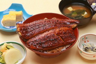 蒸して、焼いて。鰻の魅力を余すことなく