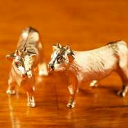 家族連れでも気兼ねなく利用できる【和牛lab. つじ本】。誕生日・入園・入学といった、家族のお祝いごとやイベントにも重宝できます。ファミリーで和やかに焼肉ディナーを楽しんでみませんか。