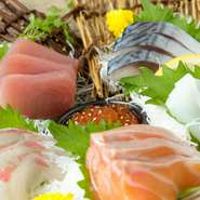 北九州の台所と呼ばれる旦過市場から毎朝届く魚介を使用。種類はその日の仕入れにより変わり、まぐろ、〆さばなどの定番のほか、九州ならではのお造りも登場します。鮮度抜群の食感と味わいが堪能できます。