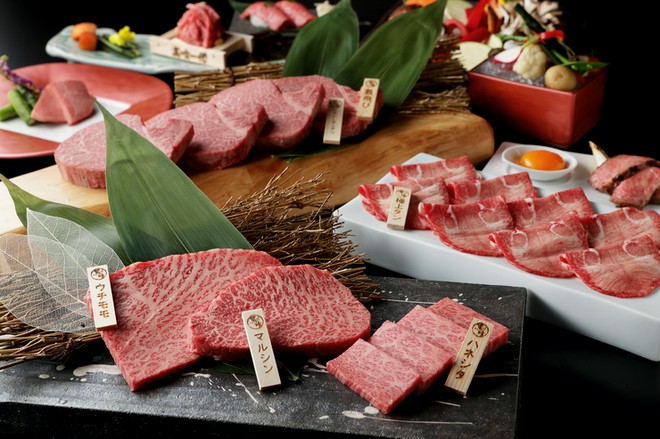 ファミリーにおすすめ