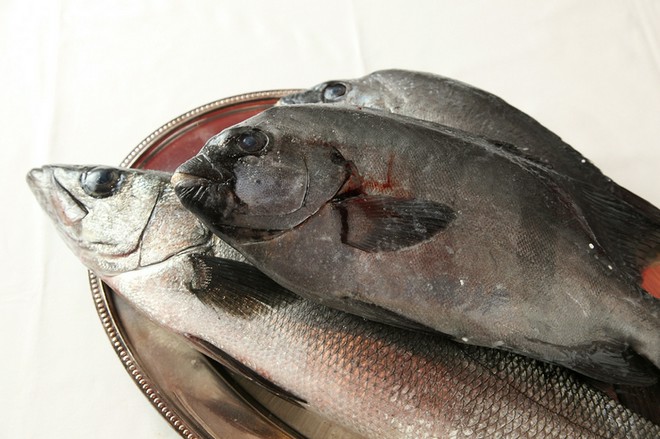 国産食材にこだわっている