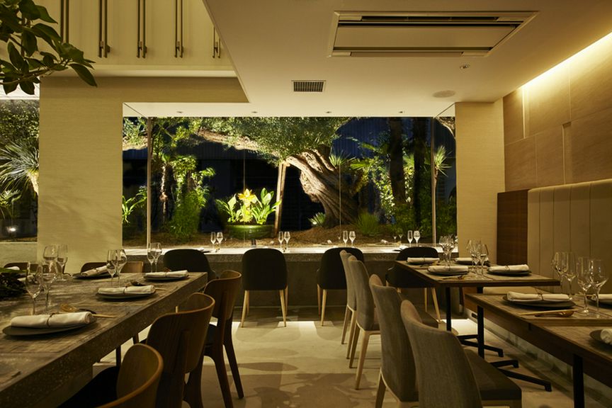 広々とした店内に広がる緑。都会で出会えるオアシス的な空間