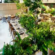 靭公園隣、目新しい植物たちが目印の当店は
彩り豊かなヘルシーメニューやワイン・シャンパーニュを中心に集められた200以上のお酒と特別な空間の中、上質な中華料理料理で一味違うおもてなしをご提供いたします。