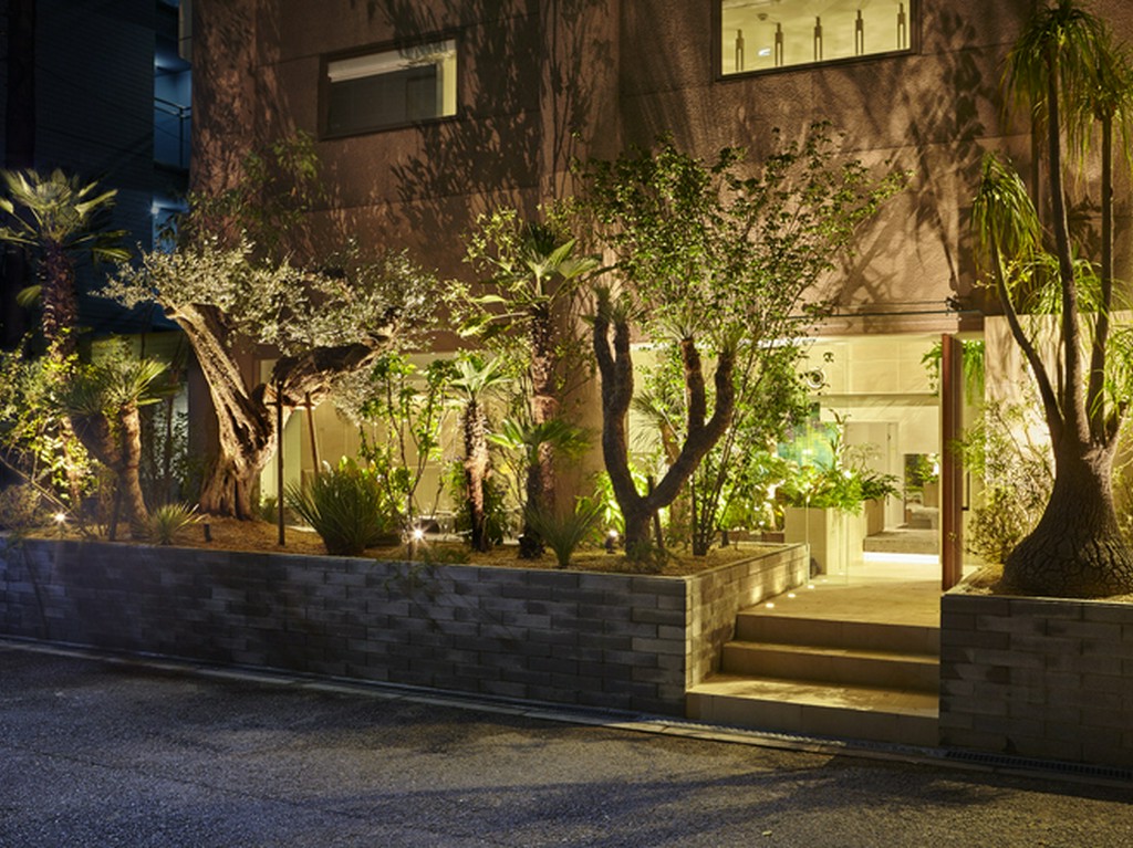 靭公園に隣接するお店　目新しい植物たちが目印