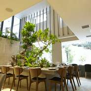 緑がちりばめられた店内は、広くて天井も高い癒しのスポットです。時にはコース料理で接待、時にはバーカウンターで独り酒。そんな風にいつでも側にあるような落ち着きがある雰囲気がポイントですね。