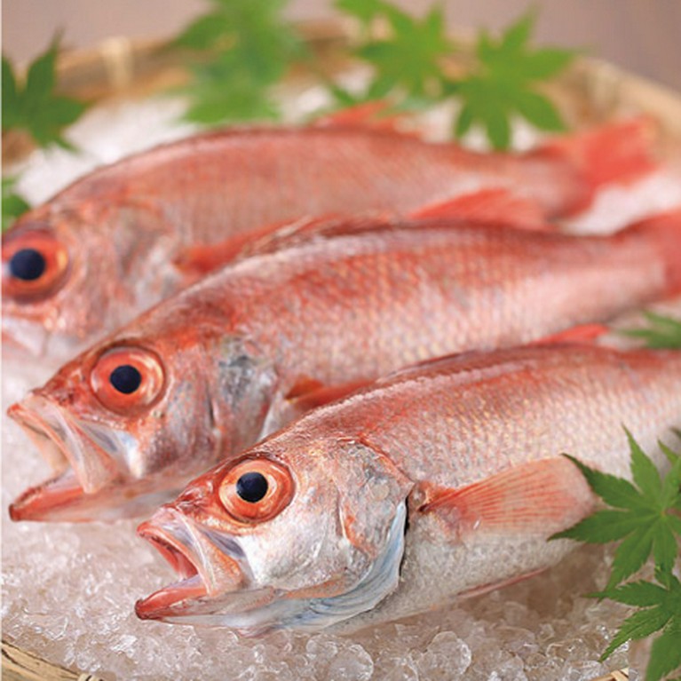 金沢にお越しのお客様には...♪