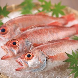 金沢にお越しのお客様には...♪