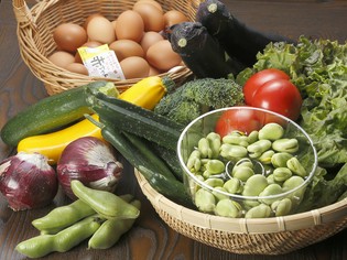 県内の生産者たちより届けられる、鮮度抜群の食材