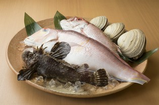 近県で獲れる旬な食材ふんだんに使った和食料理	