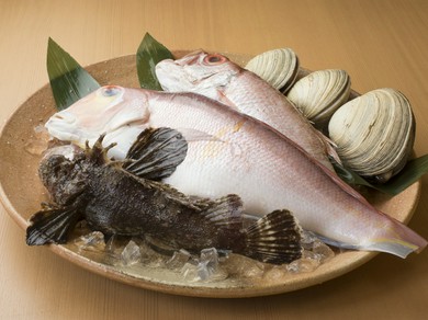 近県で獲れる旬な食材ふんだんに使った和食料理	