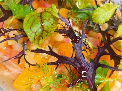 Saisonの飲み放題プラン(２名様〜)