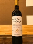 ポルトガルのバガ、ティンタ・ロリズ、トゥリガ・ナショナルを使用した赤ワイン。
柔らかな果実味で構成が良い。余韻は長いワインです。
