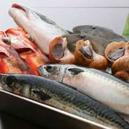 海産物の宝庫である富山ならではの新鮮で良質の魚介類を地元の漁港で直接仕入れています。活〆や神経締めで処理された鮮度と質の極めて高いものを厳選し、刺身、揚物、昆布焼きなど様々な料理で提供。