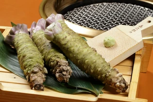 清流の恵みが生きた、自然な辛みと香りの「長泉の本わさび」