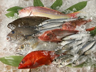 産直鮮魚が毎日入荷。独自ルートならではの鮮度と旨さ