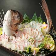 鮮度抜群の真鯛を華やかなお造りに。3kgほどの鯛の半身を使うので、1.5kg分もあり、5～8名様で一緒に楽しめます。ほどよく脂がのった上品な味わい、薄切りの食感が絶品です。宴会などに、ぜひどうぞ!