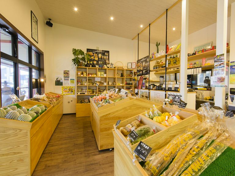 自社農園で採れた新鮮な野菜を使ったメニュー