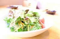 ボリューム感満載の一皿。新鮮なお野菜のシャキッとした食感がたまりません。ハーフサイズもあります。
