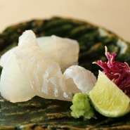 写真の「マコガレイ」は、朝どれしてすぐに、活け越し。一晩落ち着かせることで魚の緊張をほぐし旨みがのったところで活き〆・神経抜きをしています。（お造りの一例です。）