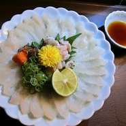 オコゼ刺身　大