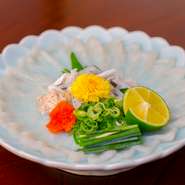 虎河豚刺身(大)　
