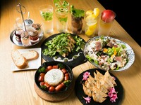 人気のしそ餃子が入った、お得なコース！カクテル、生ビール、ワインもOK！
