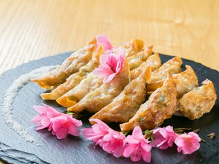 爽やかなしその風味が食欲をそそる『しそ餃子』