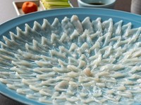 伝統的な菊盛りで提供。ふぐ本来の風味が広がる『とらふぐ刺身（大）』