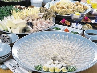 ふぐの魅力を、さまざまな調理法で堪能できる『ふぐ料理』