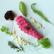 シェフが【ル・コルドン・ブルー・パリ】で教授をしていた時の生徒だったサーモンのパイオニアと呼ばれる長谷部氏からヒントを得たスペシャリテ。サーモンの上にさつま芋や紫芋がトッピングされています。