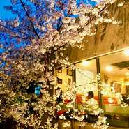 福岡一⁉︎目の前から見下ろせる桜の木は絶景！
中庭を覗ける大きな窓からは全席お花見が可能です！
少人数から団体貸切まで…
天気・場所取りの心配無用！