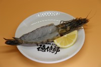 1匹