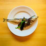 お魚は鳥取堺漁港より、その時獲れたお魚を漁師さんのお任せで送ってもらっています。お野菜は自社農園よりシェフが育てた旬のお野菜を！いつでも新鮮で季節を感じられる食材でお料理をご用意しております