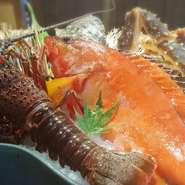 鮮魚は銚子や、内房の金谷・竹岡といった地元の漁港で水揚げされたものを直接買い付け、生きたままお店で管理しています。中でも伊勢海老やあわびは大ぶりなものを贅沢に料理し、提供しています。