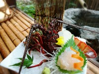 毎朝、千倉漁港で水揚げされた新鮮な伊勢海老のみを使用。新鮮なものをお刺身でどうぞ。