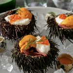 とろける食感とコク深い味わいが楽しめる極上の一皿です。