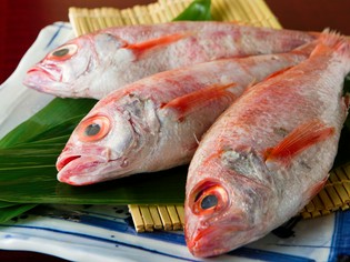 旬の魚をお好みの調理法で。お客様の要望に合わせた魚料理を提供